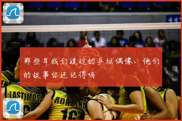 那些年我们追过的乒坛偶像,他们的故事你还记得吗