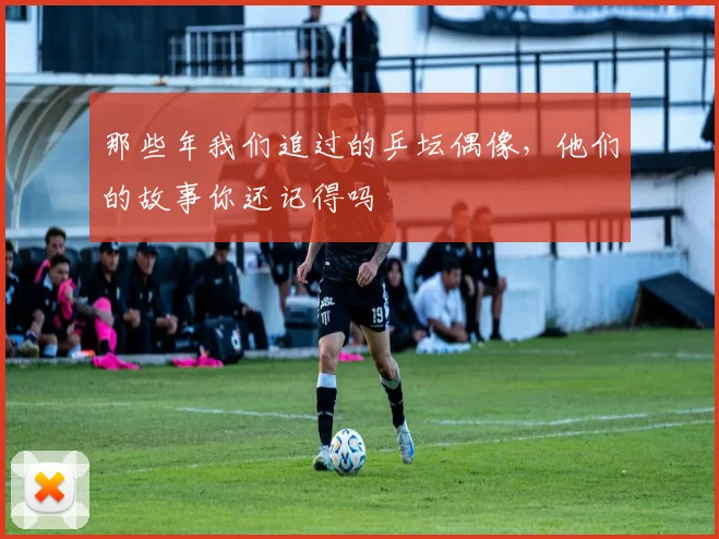 那些年我们追过的乒坛偶像,他们的故事你还记得吗