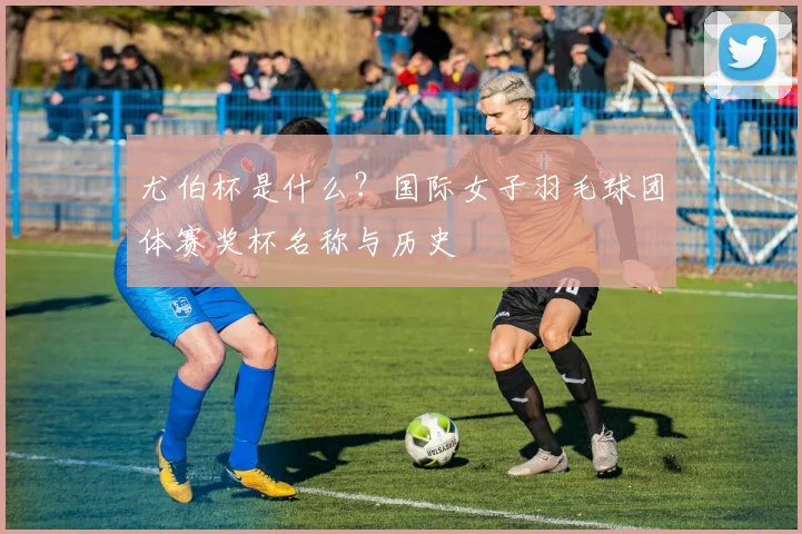 尤伯杯是什么?国际女子羽毛球团体赛奖杯名称与历史